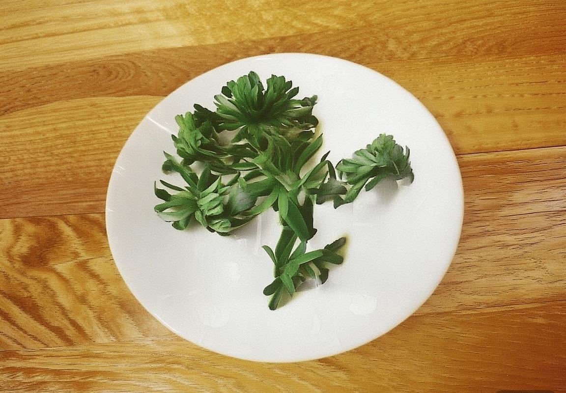 全运男篮巅峰对决：辽苏争霸，郭艾伦与周琦对决纪实(图4)